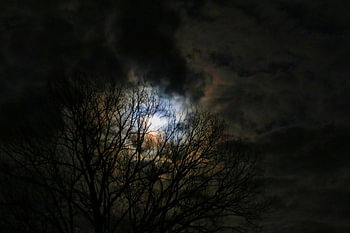 Blue Moon over Germany III