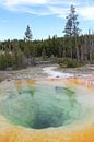 Prachtvolle Farben im Yellowstone von Map of Joy Miniaturansicht