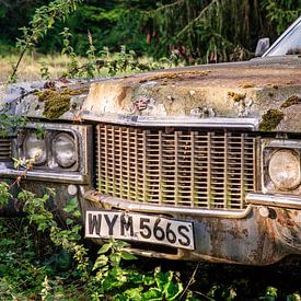 Vergeten luxe in het bos - een Amerikaanse klassieker in een diepe slaap van Gentleman of Decay