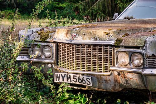 Vergessener Luxus im Wald – ein amerikanischer Klassiker im Dornröschenschlaf von Gentleman of Decay