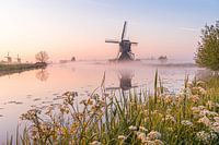 Kinderdijk