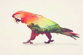 Colourful parrot with landscape by Poster Art Shop