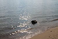 Glitzerndes Wasser