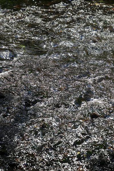 Water by Thomas Jäger