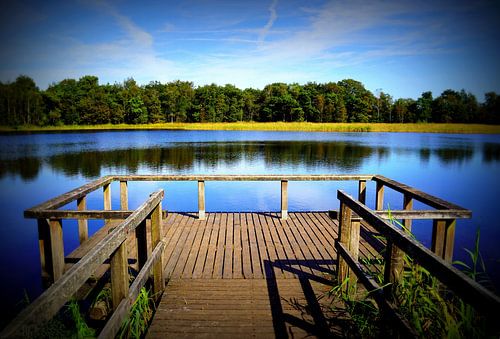 Bridge Rozenven Roosendaal