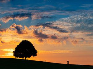 Sonnenaufgang mit Radfahrer