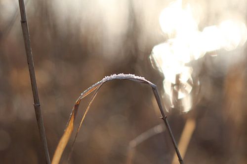 Une touche de soleil