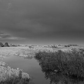 Bedrohung über dem stillen Feld von Jose Lok