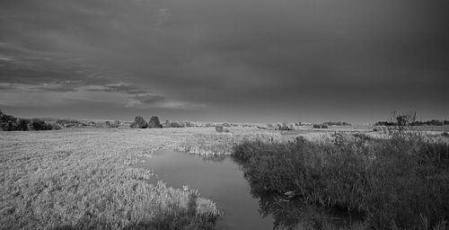 Threat over the silent field