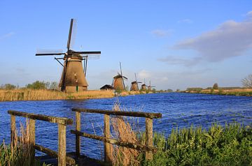 Kinderdijk mills