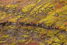 Kerið-Krater Island von Marcel Kerdijk