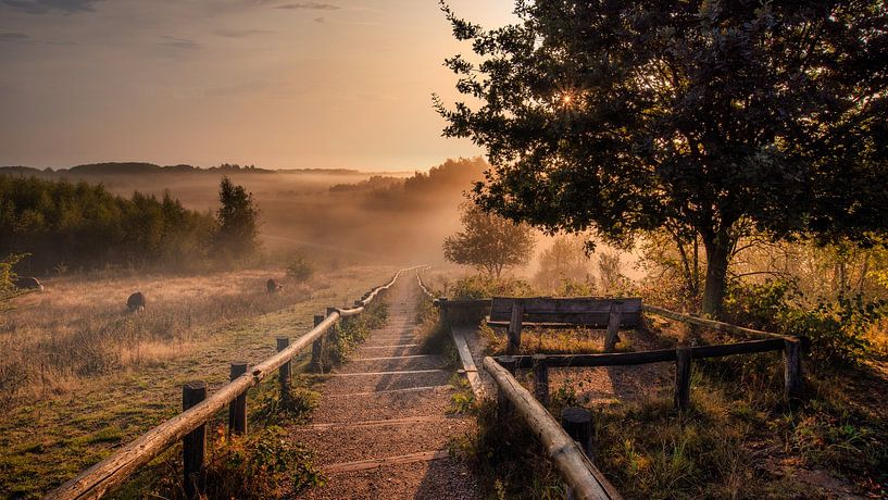 dreamy morning van Danielle de Graaf