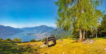 Blick auf den Lago Maggiore mit Locarno und Ascona vom Monte di Motti, Gordola, Tessin Ticino, Schwe