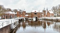 Koppelpoort van Jan van der Wolf thumbnail