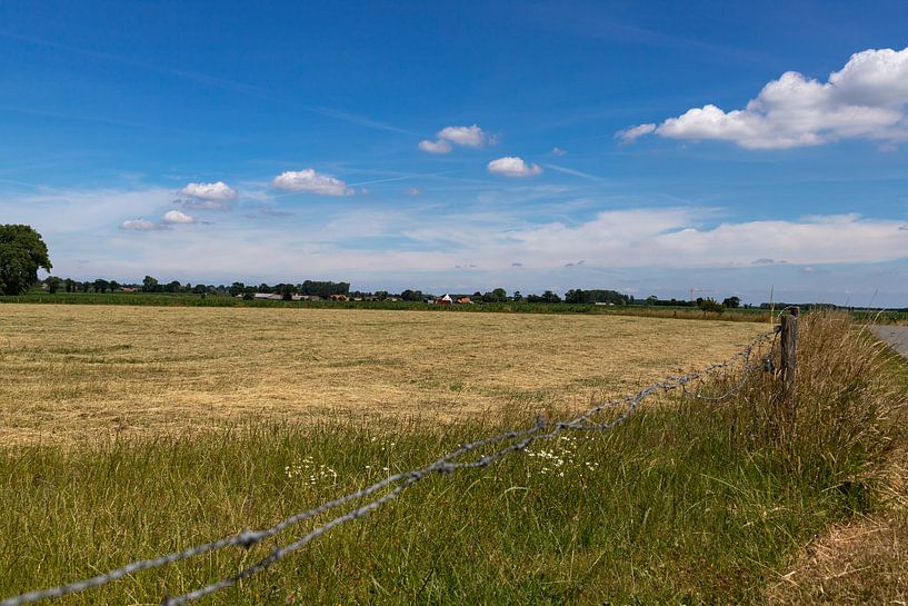 the view by reivilo fotografie