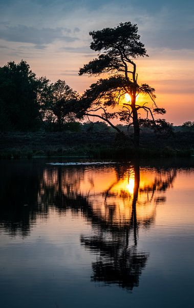 Reflection in the fens at sunset by Erwin Pilon