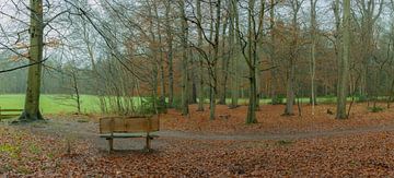 Le premier banc de l'Achterwei à Beetsterzwaag Opsterland Friesland sur Ad Huijben