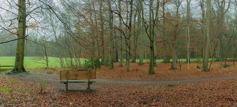 Le premier banc de l'Achterwei à Beetsterzwaag Opsterland Friesland par Ad Huijben