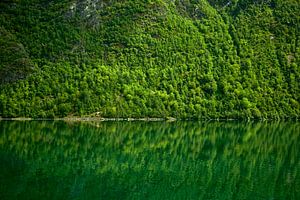 grün bewachsene Felswand spiegelt sich im klaren Wasser in Norwegen
