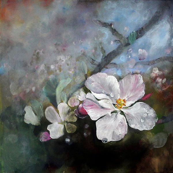 Appleblossom von Stephanie Köhl