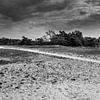 Kootwijkerzand zandvlakte in zwart wit van Tessa Louwerens