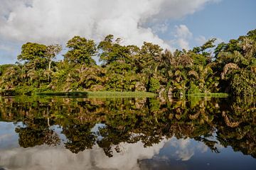 Reisfotografie “Reflectie” | Costa Rica | Midden Amerika | Tortugero | Groen | Water | Fotografie | Foto Print | Art Print van Estelle Bijker Fotografie