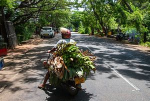 De bananenman op de scooter in Sri lanka