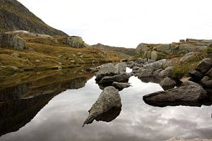 See am Gotthardpass von Louise Poortvliet