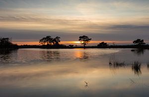 Sonnenuntergang am Wasser auf dem Dwingelderveld