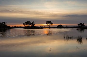 Sonnenuntergang am Wasser auf dem Dwingelderveld von KB Design & Photography (Karen Brouwer)