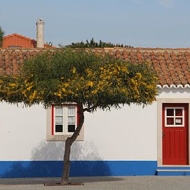 Colourful house in the Alentejo, Portugal by SaschaSuitcase