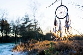 Dromenvanger bij zonsondergang  by Marjolijn Barten