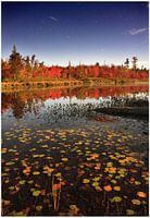 Indian Summer, forest and lake by full moon