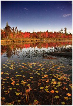 Indian Summer, forest and lake by full moon sur Jonathan Vandevoorde