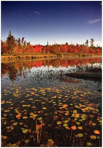 Indian summer, meer en bos bij volle maan