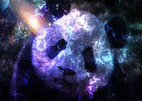 Galaxy Baby Panda