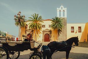 Flair historique à Garachico - Architecture canarienne et chevaux