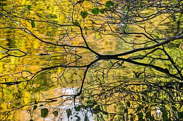 Der goldene Teich von Frans Blok