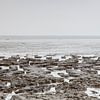 Marée basse sur la côte des wadden sur Dick Doorduin