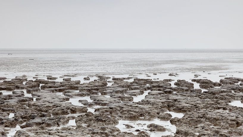 Low tide on the wadden coast by Dick Doorduin