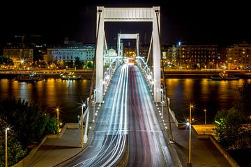 Bridge over the Danube  van Julian Buijzen