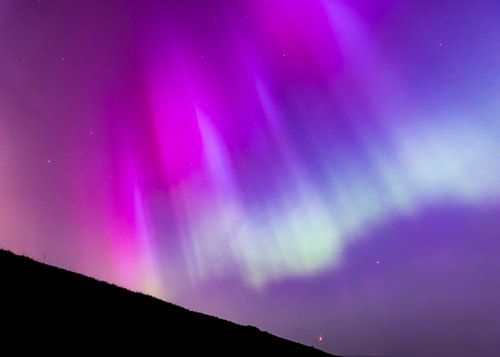 Gros plan sur les aurores boréales aux Pays-Bas avec des harpes magenta et vertes