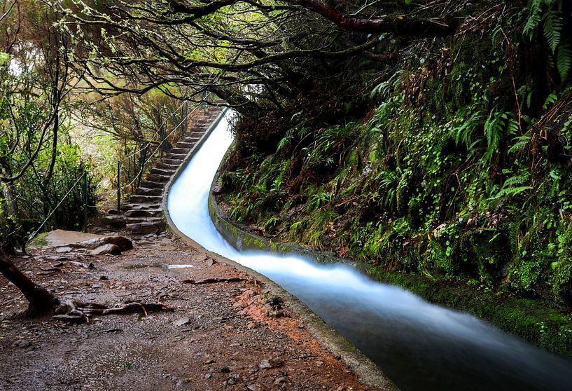 Wasserfall auf Madeira von Esmée Fotografeert