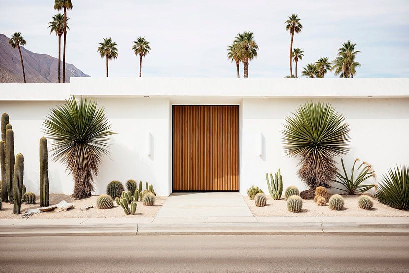 White House in Palm Springs von Philippe HUGONNARD