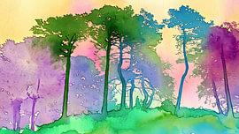 Silhouette de forêt haute en couleur sur Frank Heinz