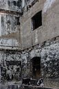 wall paper by PAPARAzzSSI Freelance Fotografie thumbnail