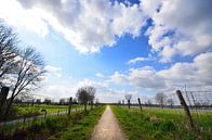 Pad Aan De Dijk van Olivier ter Horst thumbnail