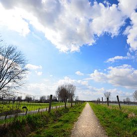 Pad Aan De Dijk by Olivier ter Horst