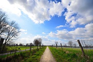 Pad Aan De Dijk von Olivier ter Horst