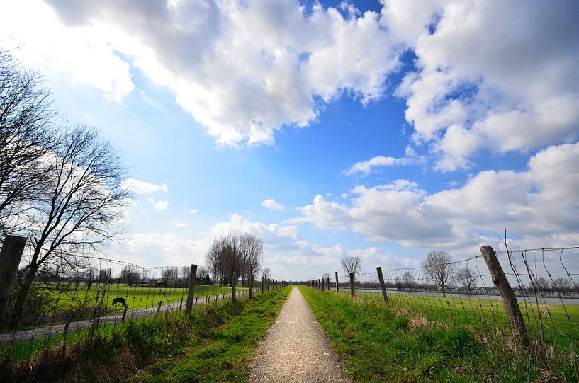 Pad Aan De Dijk van Olivier ter Horst